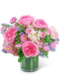 Cloud Nine Luxe from Brennan's Florist and Fine Gifts in Jersey City
