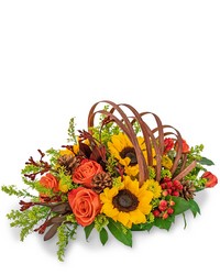 Creative Cornucopia from Brennan's Florist and Fine Gifts in Jersey City