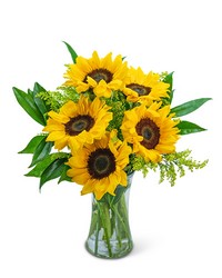 Sprinkle of Sunflowers from Brennan's Florist and Fine Gifts in Jersey City