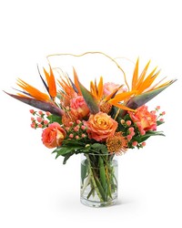 Spirit of the Tropics from Brennan's Florist and Fine Gifts in Jersey City