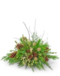 Evergreen Simplicity from Brennan's Florist and Fine Gifts in Jersey City