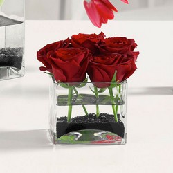 Roses in Glass Cube from Brennan's Florist and Fine Gifts in Jersey City