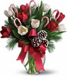 Holiday Jolly from Brennan's Florist and Fine Gifts in Jersey City