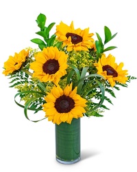 Ray of Golden Sunflowers from Brennan's Secaucus Meadowlands Florist 