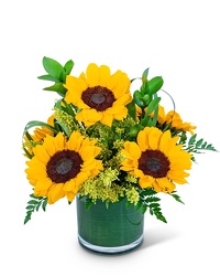 Sunshine Sunflowers from Brennan's Secaucus Meadowlands Florist 