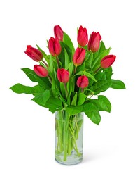 Red Tulips from Brennan's Secaucus Meadowlands Florist 