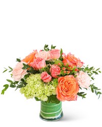 Coral Calma from Brennan's Florist and Fine Gifts in Jersey City