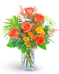 Kiss Me in Key West from Brennan's Secaucus Meadowlands Florist 