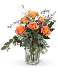 Free Spirit Roses (6) from Brennan's Secaucus Meadowlands Florist 