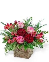 Radiant Rouge from Brennan's Secaucus Meadowlands Florist 