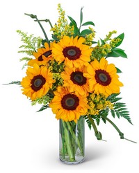 Sunflowers and Love Knots from Brennan's Florist and Fine Gifts in Jersey City