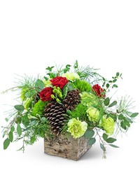 Holiday Mode from Brennan's Secaucus Meadowlands Florist 