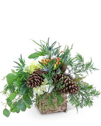 Holiday Spirit from Brennan's Secaucus Meadowlands Florist 